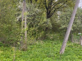 Продается земельный участок документы готовы фото 2 Смоленск