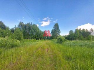 Продам участок земли в садовом некоммерческом товариществе фото Ярославль
