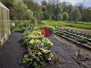 Продам дом своя скважина фото 21 Гаврилов-Ям