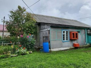Продаю нежилое помещение фото 4 Курган