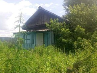 Продаю помещение свободного назначения фото 2 Курган