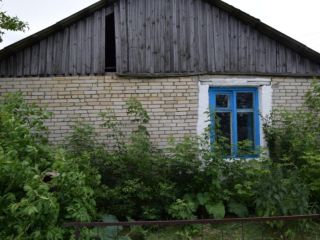 Продается нежилое помещение фото 6 Курган
