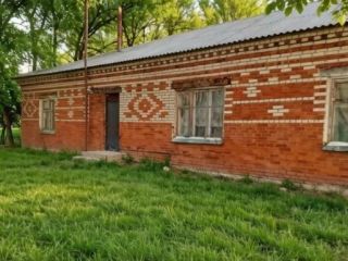 Продается помещение свободного назначения фото 8 Курган