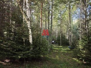 Продается зем участок рядом асфальт фото 2 Гаврилов-Ям