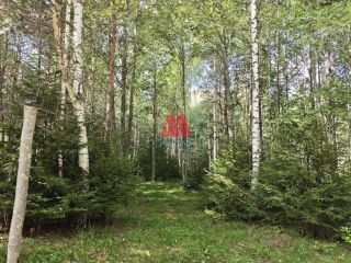 Продается зем участок рядом асфальт фото 15 Гаврилов-Ям