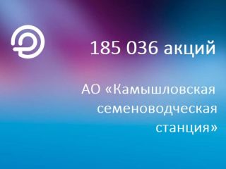 Продается бизнес фото 2 Камышлов