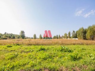 Продается участок земли асфальтная дорога фото 14 Ярославль