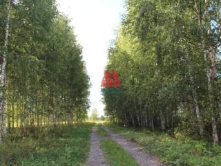 Продается участок земли асфальтная дорога фото 16 Ярославль