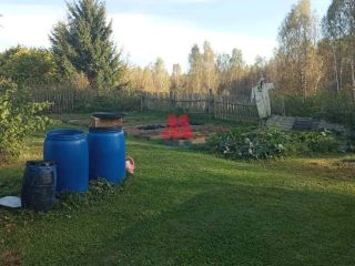 Продам дом своя скважина есть теплица фото 3 Ярославль