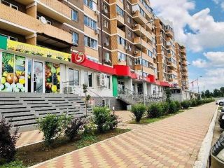 Продается студия фото 9 Краснодар
