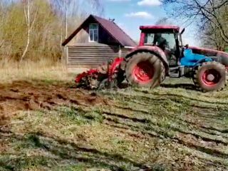 Продам земельный участок подведено электричество с плодоносящим садом фото 15 Псков