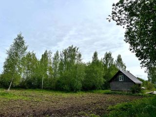 Продам деревянный дом под индивидуальное жилищное строительство с плодоносящим садом фото 2 Псков
