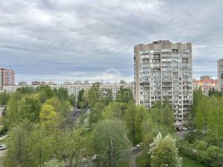 Продаю однушку кирпичный фото 17 Санкт-Петербург