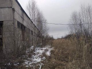 Продается помещение свободного назначения выгодное место фото 4 Тобольск