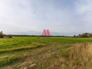 Продается кирпичный дом имеется скважина под личное подсобное хозяйство фото 6 Гаврилов-Ям