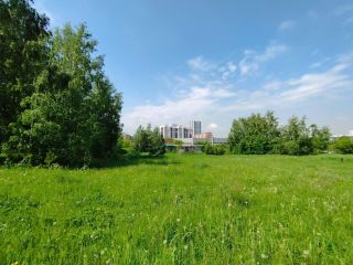 Продается земельный участок фото Новосибирск