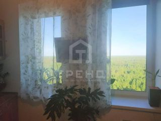 Продается однокомнатная квартира фото 3 Всеволожск