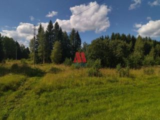 Продаю участок земли под личное подсобное хозяйство фото 2 Данилов