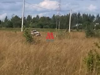 Продаю участок земли под личное подсобное хозяйство фото 4 Данилов
