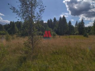 Продаю участок земли под личное подсобное хозяйство фото 5 Данилов
