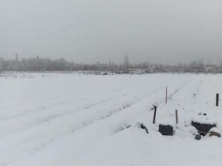 Продается зем участок асфальтная дорога фото 8 Белореченск