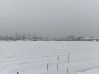 Продается зем участок асфальтная дорога фото 9 Белореченск