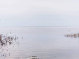Продам кирпичный дом имеется баня имеются хозяйственные постройки фото 27 Псков