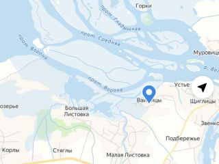 Продаю деревянный дом имеется скважина асфальтная дорога фото 31 Псков