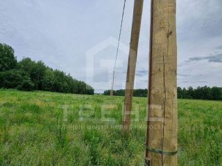 Продается зем участок рядом асфальт фото 7 Тосно