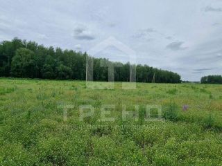 Продается зем участок рядом асфальт фото 8 Тосно