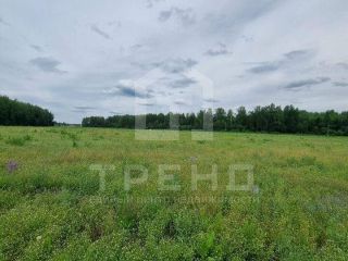 Продается зем участок рядом асфальт фото 10 Тосно