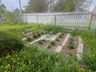 Продается кирпичный дом есть документы с коммуникациями фото 8 Щёкино