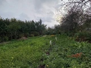 Продается кирпичный дом фото 5 Щёкино