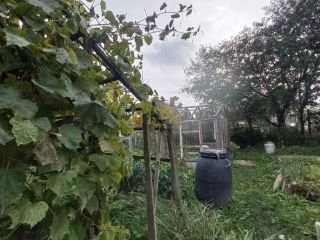 Продается кирпичный дом фото 10 Щёкино