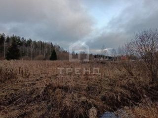 Продаю земельный участок видеонаблюдение есть документы фото 20 Гатчина