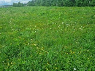 Продам зем участок под личное подсобное хозяйство фото Щёлково