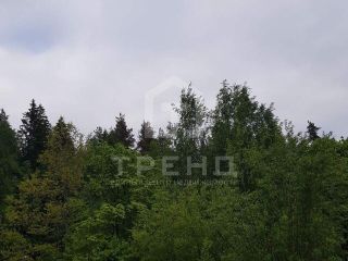 Продаю земельный участок в садовом некоммерческом товариществе подведено электричество фото 7 Выборг