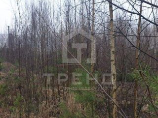Продается земельный участок в садовом некоммерческом товариществе фото 7 Сосновый Бор