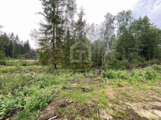 Продам участок земли подключена канализация с коммуникациями фото 3 Всеволожск