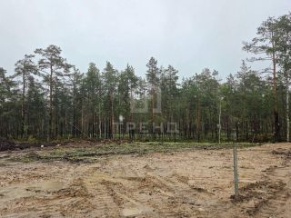 Продам зем участок в дачном некоммерческом партнерстве фото 6 Всеволожск