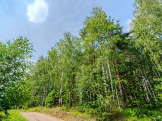 Продам зем участок отдельно стоящий фото 3 Верхняя Пышма