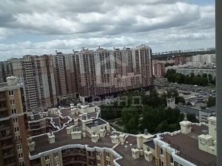 Продам однушку взрослый собственник фото 22 Санкт-Петербург