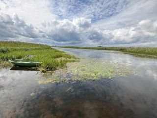 Продам участок земли под личное подсобное хозяйство фото Псков