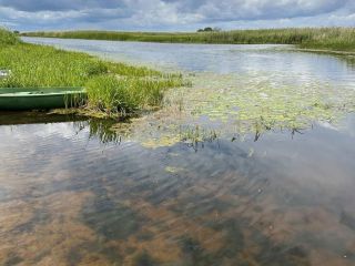 Продам участок земли под личное подсобное хозяйство фото 2 Псков