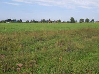 Продам участок земли под личное подсобное хозяйство фото 10 Псков