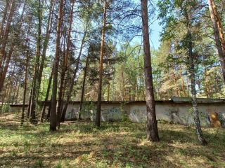 Продаю нежилое помещение фото 10 Тюмень