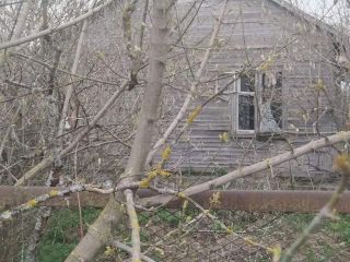 Продаю помещение свободного назначения фото Курск
