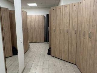 Сдаю помещение под офис фото 10 Санкт-Петербург