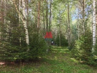 Продам участок земли асфальтная дорога фото Гаврилов-Ям
