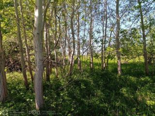 Продам зем участок с коммуникациями фото 6 Гурьевск